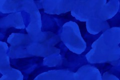 quietos_cev-azul_IMG_1196
