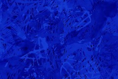 quietos_cev-azul_IMG_1214