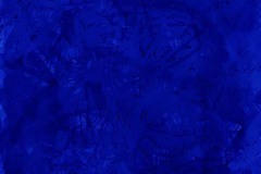 quietos_cev-azul_IMG_1215