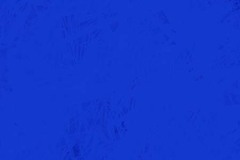 quietos_cev-azul_IMG_1216