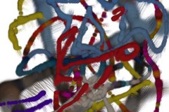 quietos_impresions_IMG_1944