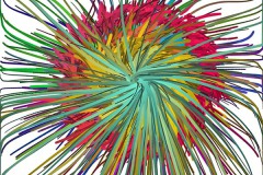 quietos_improv_IMG_0476