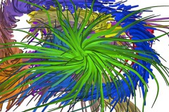 quietos_improv_IMG_0478