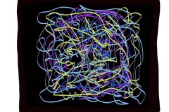 quietos_improv_IMG_0598