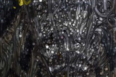 quietos_improv_IMG_0630