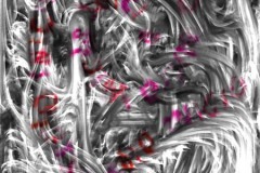 quietos_improv_IMG_0637