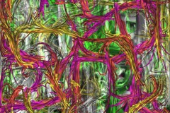 quietos_improv_IMG_0641