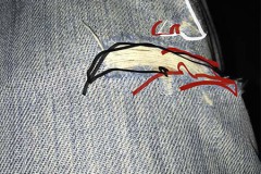 quietos_improv_IMG_0709